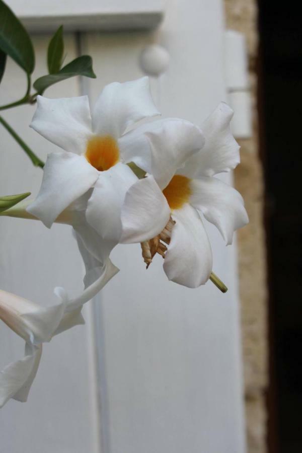 Bed and Breakfast Au Garcin La Romieu Екстер'єр фото